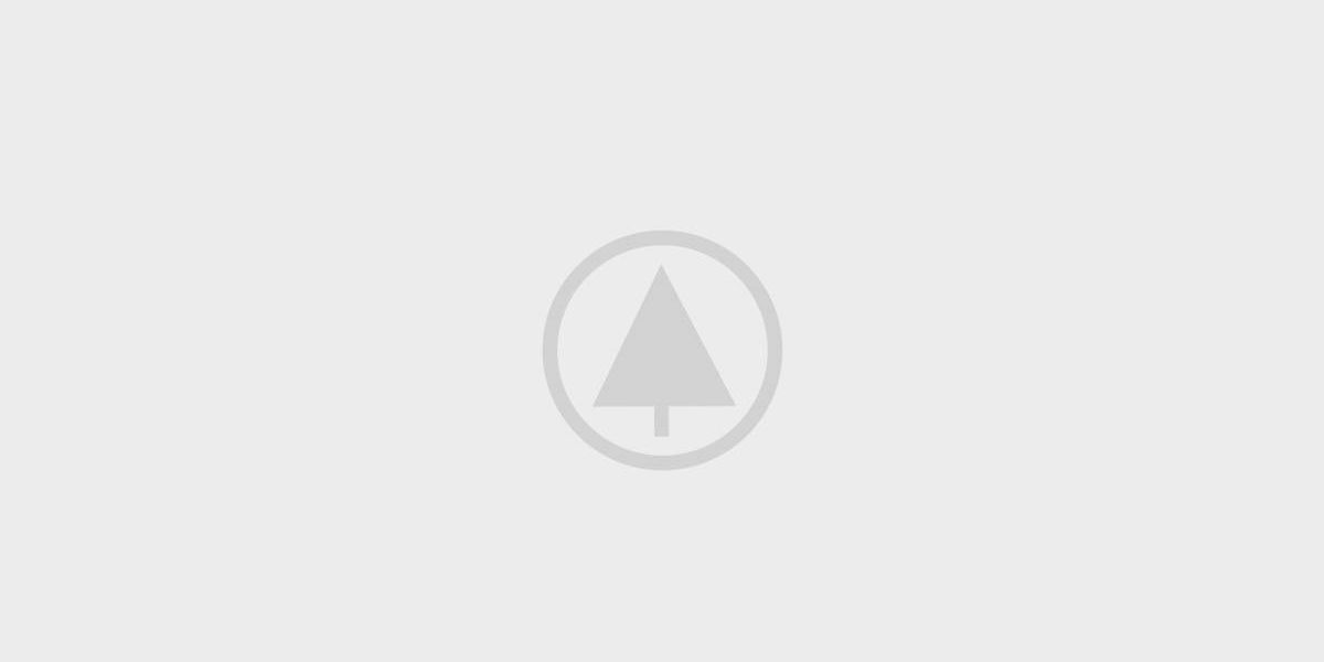 wood-gallery-placeholder-4